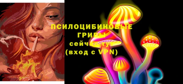 spice Бугульма
