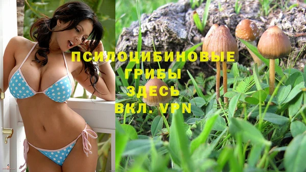 гашиш Бородино