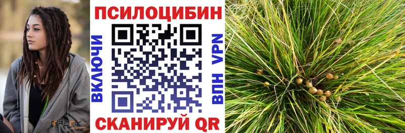 Галлюциногенные грибы Psilocybine cubensis  ОМГ ОМГ сайт  Орехово-Зуево 